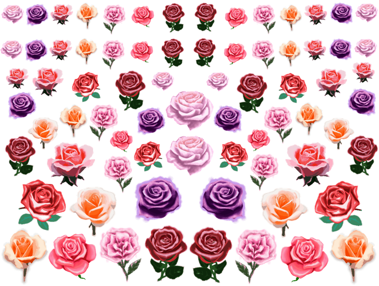 Rose Garden