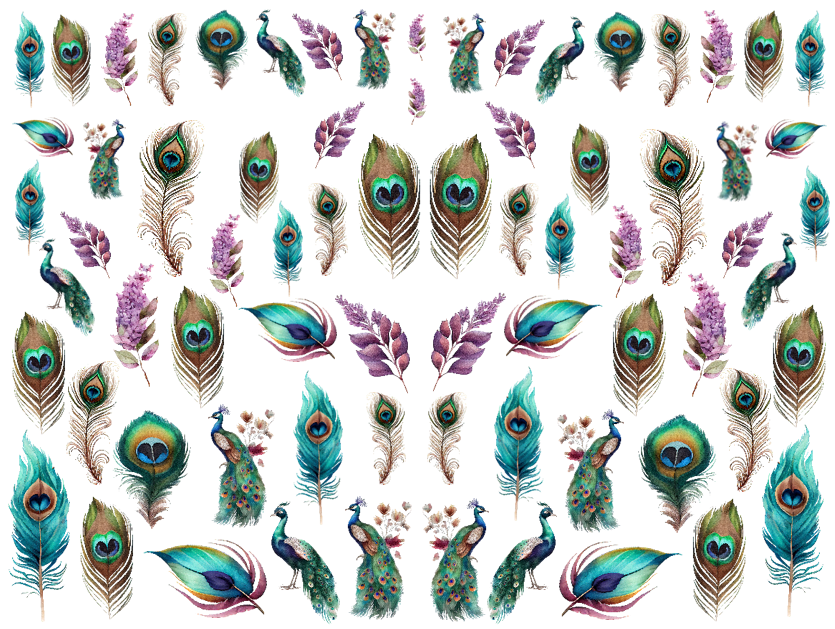 Pretty Peacock