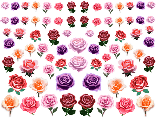Rose Garden