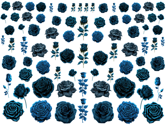 Blue Roses