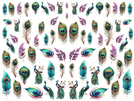 Pretty Peacock